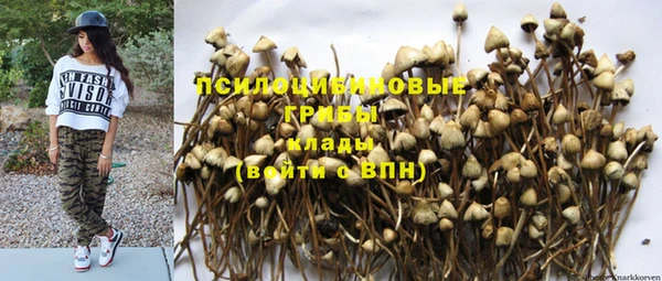 метадон Медногорск